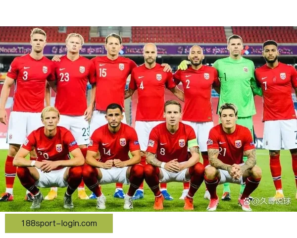 2026世界杯最新参赛球队名单全面解析及球员实力盘点